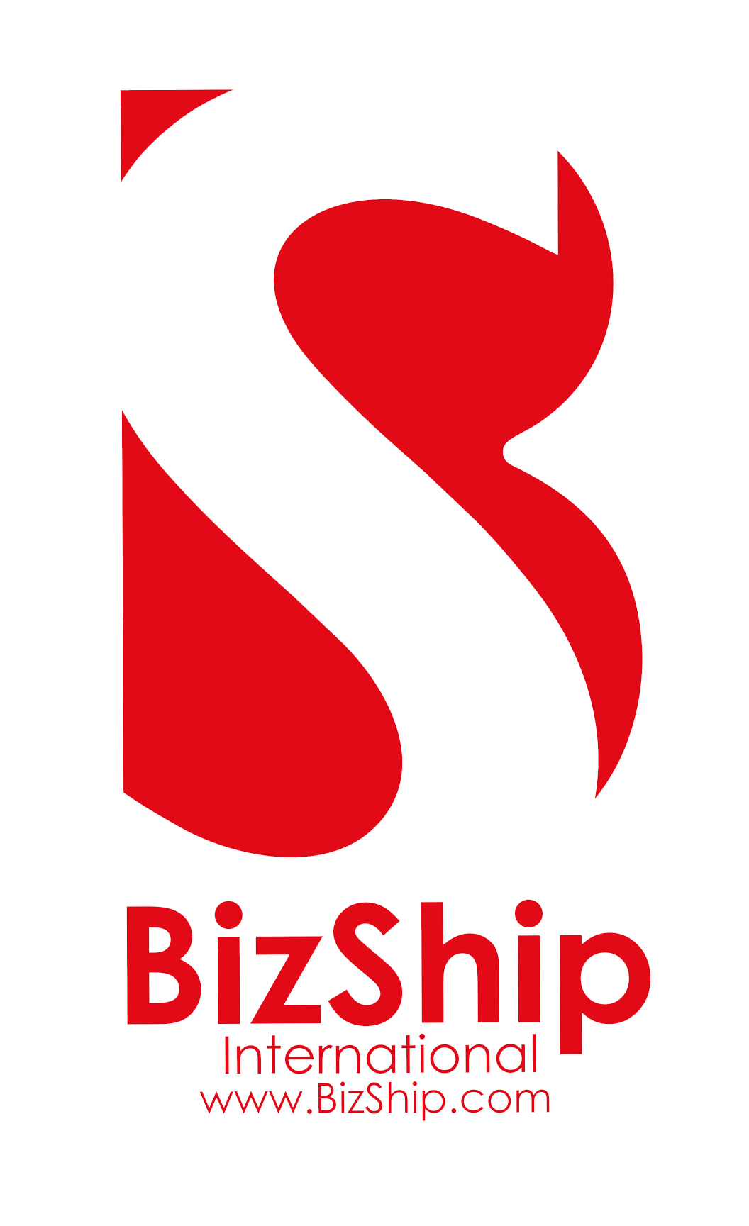 BizShip International Logo & website